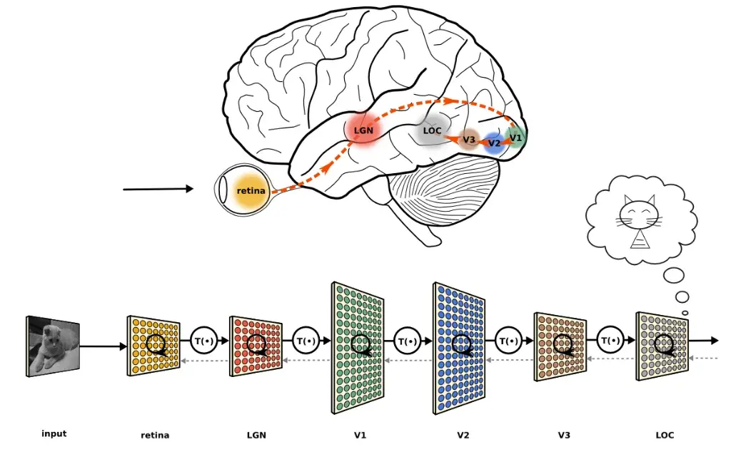 Arquitetura de Processamento Neural Móvel