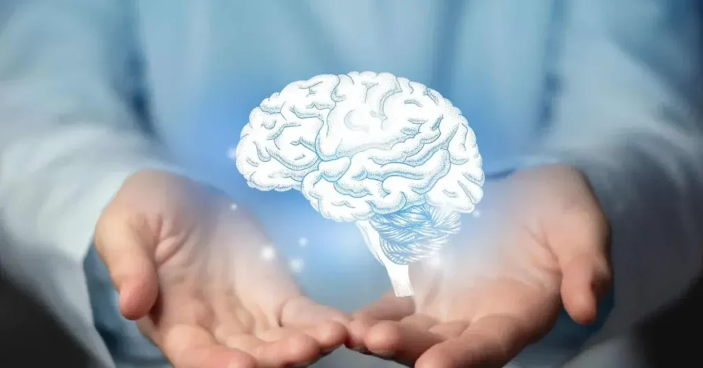 A Ciência por Trás da Formação de Hábitos e o seu Impacto no Cérebro